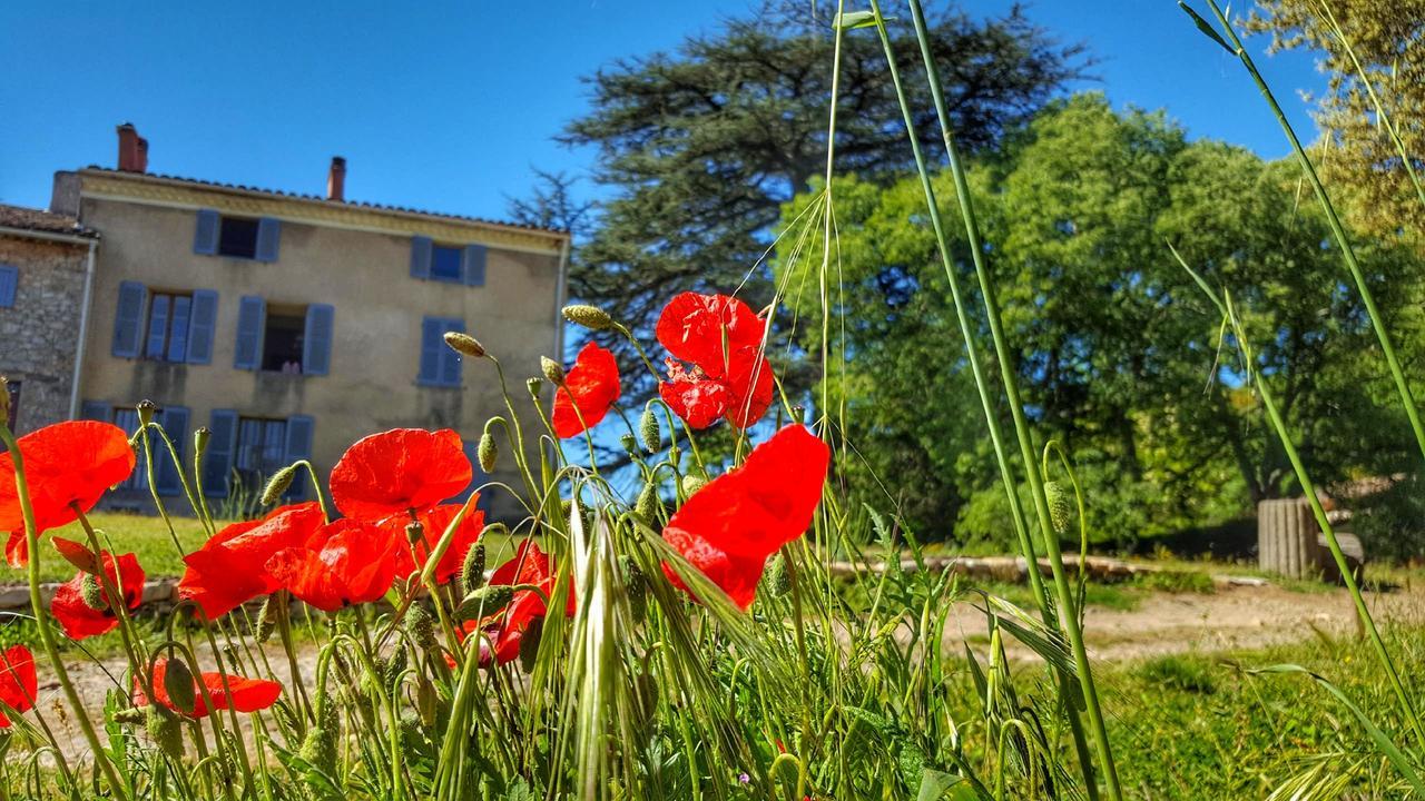 Bed and Breakfast Le Domaine Saint Martin Flassans-sur-Issole Exterior foto